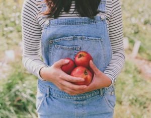 New Chapter Probiotics For Gut Health