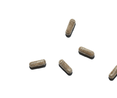 New Chapter Probiotics