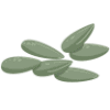 Chia Seeds Chia Seeds