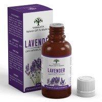 Lavender Essential Oils