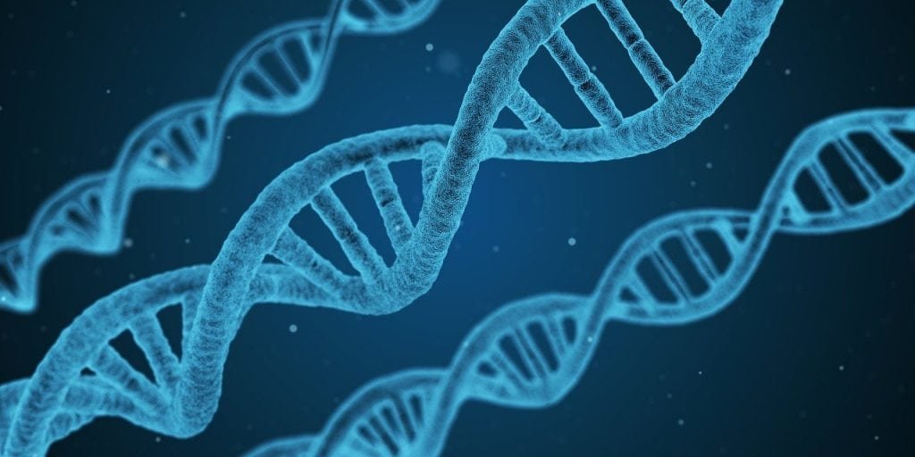 Alpha-Lipoic Acid Pills For Cells