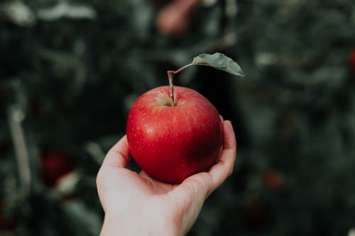 How Apple Cider Vinegar Works