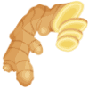 Ginger