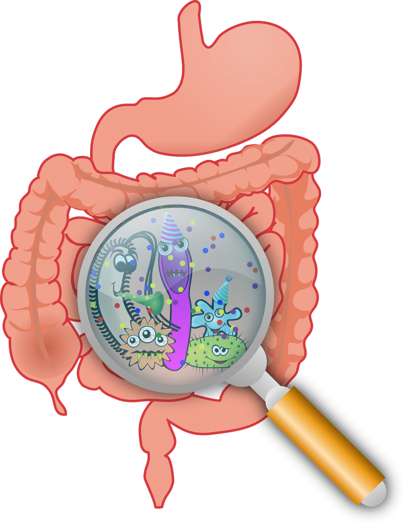 Gut Health