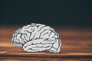 Best Natural Nootropics
