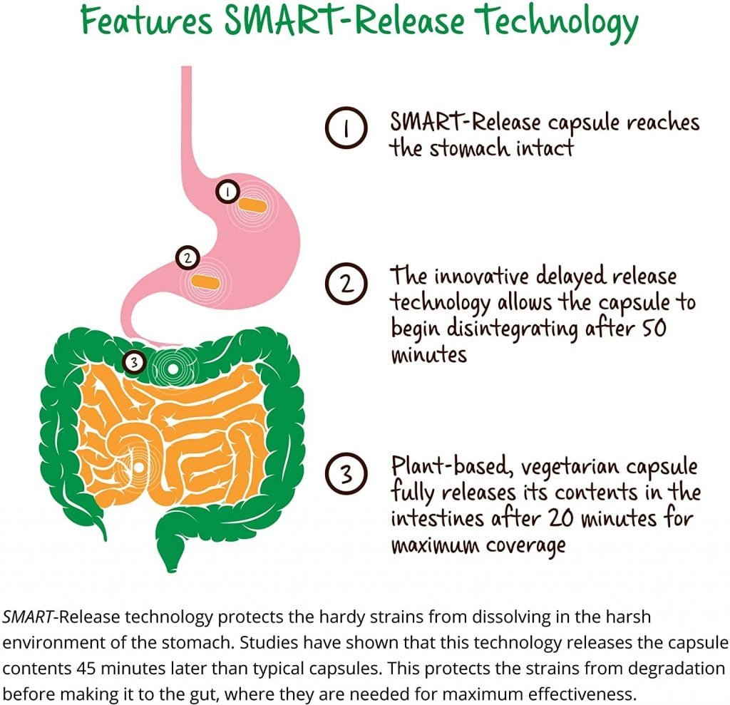 LifeBiome Gut Restore Features