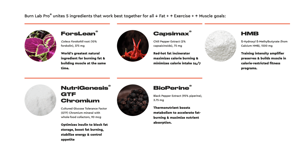 Burn Lab Pro Ingredients