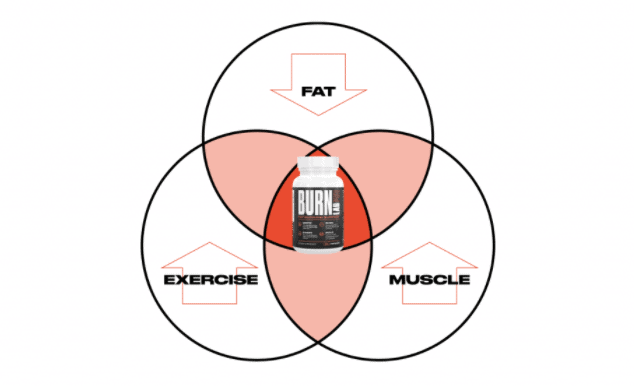 Burn Lab Pro Supplement Formula