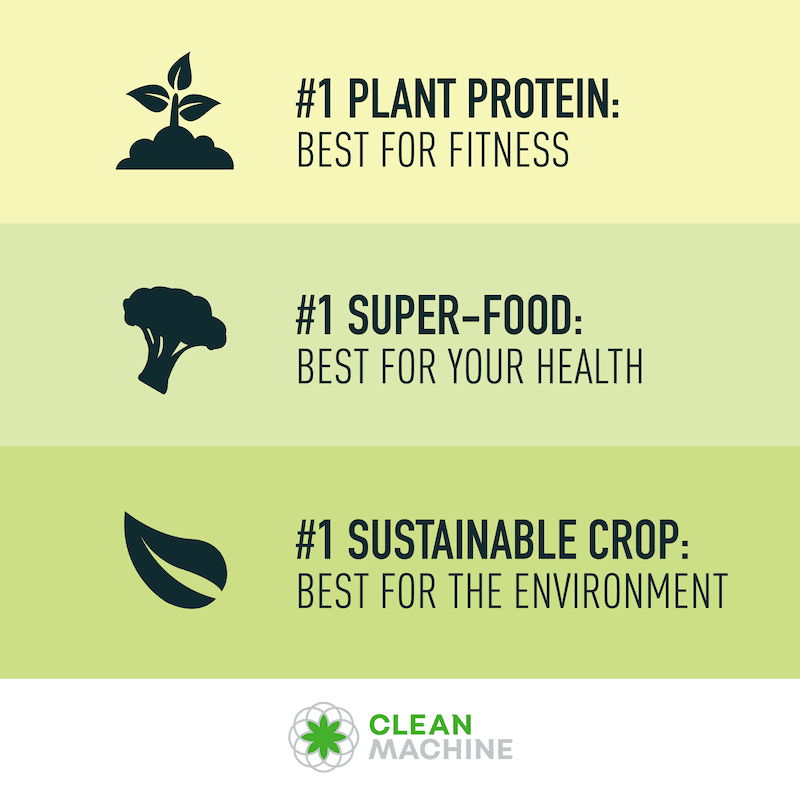 Clean Green Protein Highlights