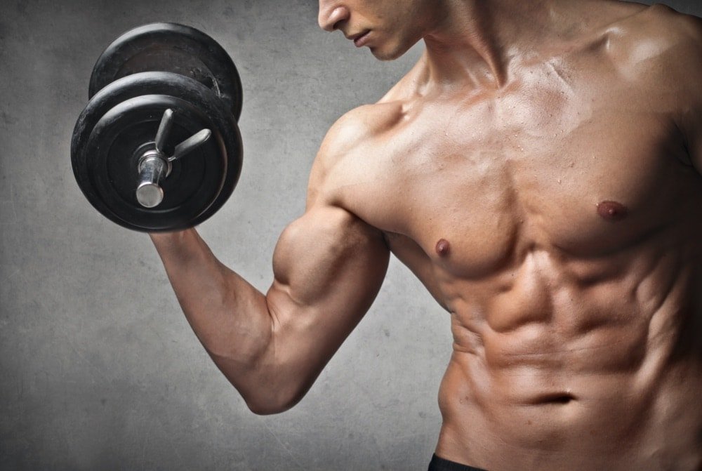 Muscle Gain