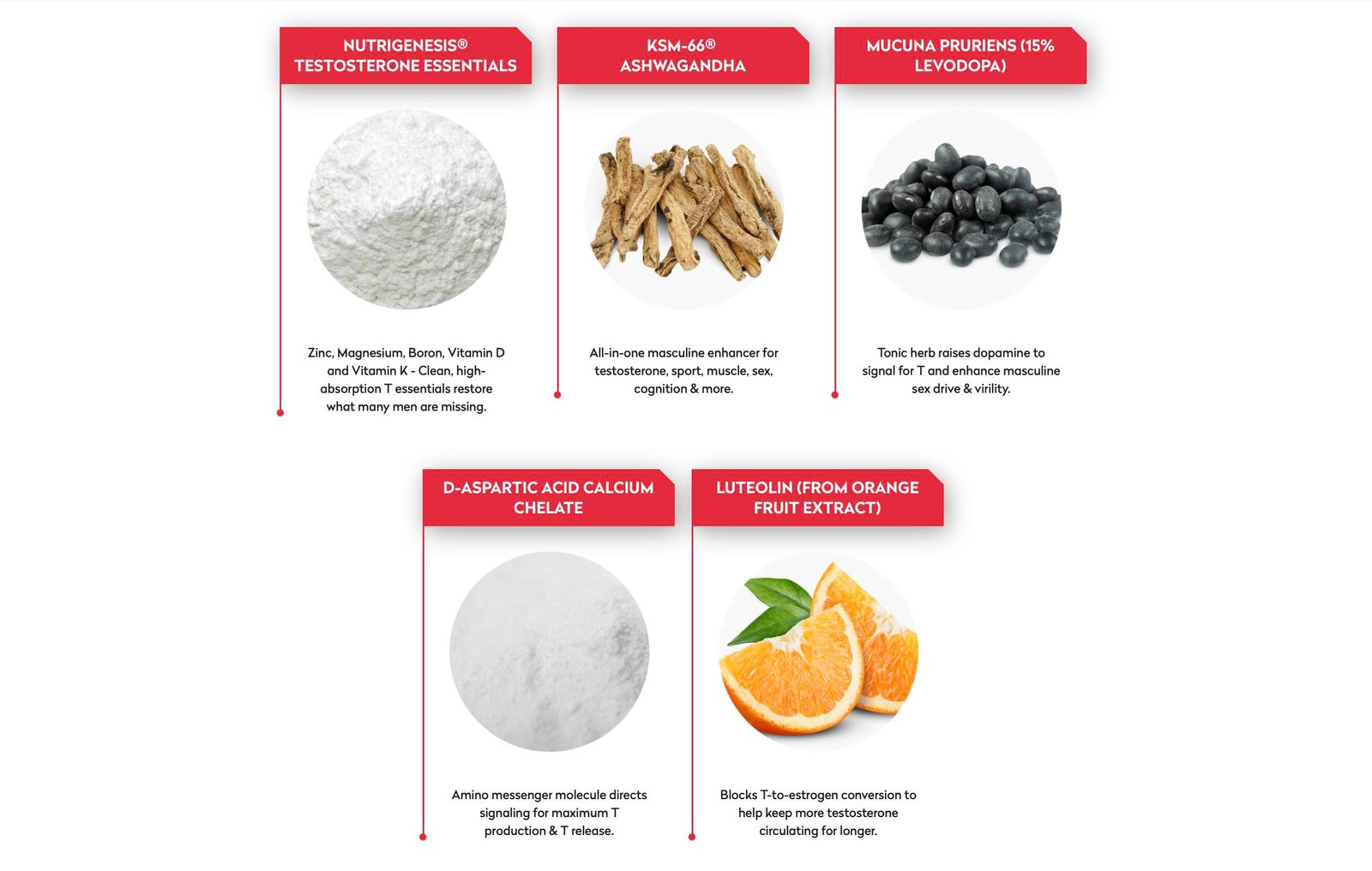 Testo Lab Pro Vitamins And Minerals