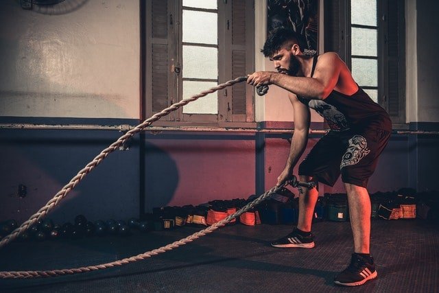 Testo Lab Pro For Work Out