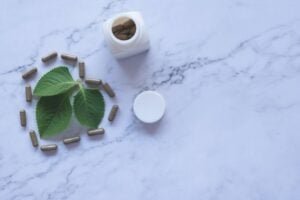 Best Vegan Probiotic
