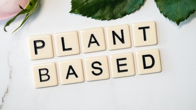 Biochem Plant Protein Plant based Source