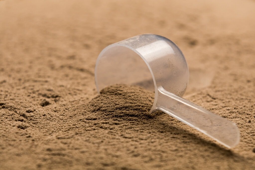 Plant-Based Protein Powder Scoop