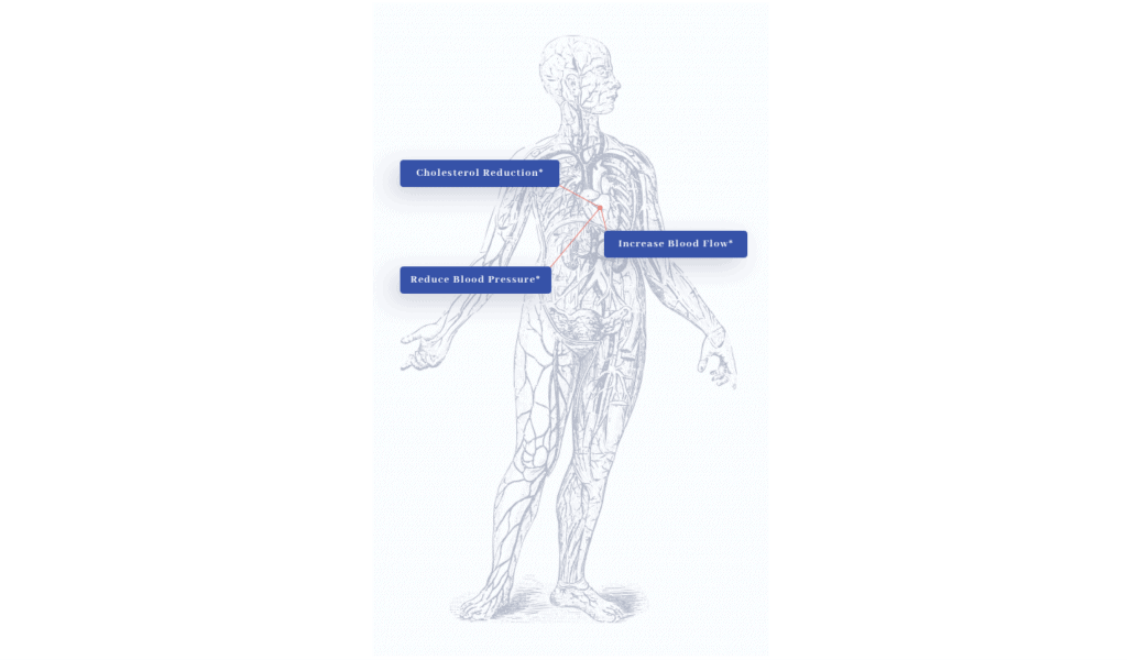 CholestMD Benefits