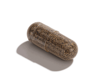 Elderberry Pill by Baze Supplement