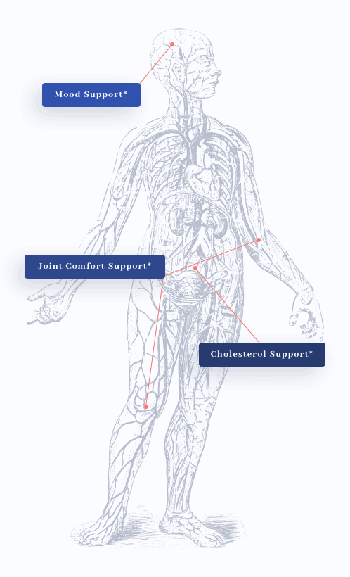 KrillMD Health Benefits