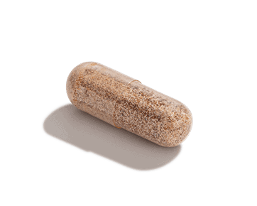 Rhodiola Pill by Baze Supplement