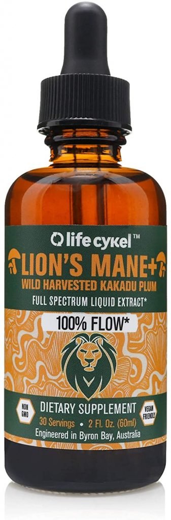 Life Cykel Lion's Mane