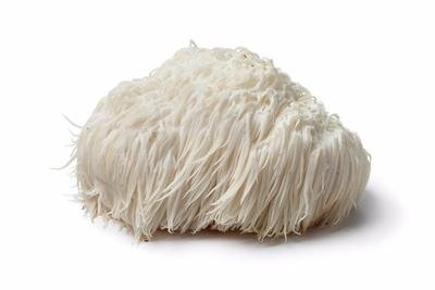 Life Cykel Lion's Mane Ingredients