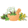 Herbs