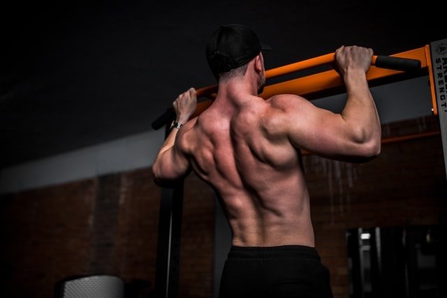REBAAR Supports Muscle Building