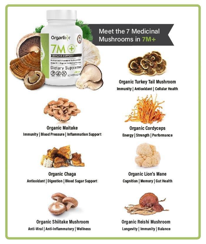 7M+ Ingredients