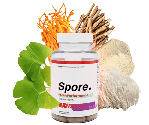 Focus Performance By Spore Life-Ingredients