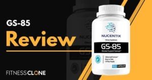 GS-85 Review