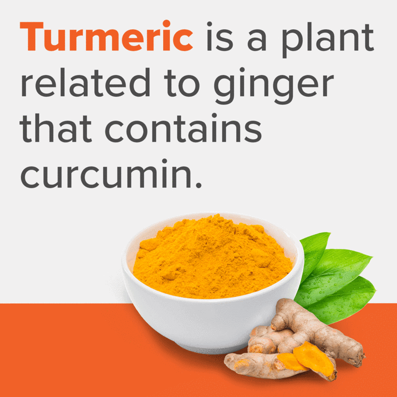 Qunol Liquid Turmeric-Ingredient