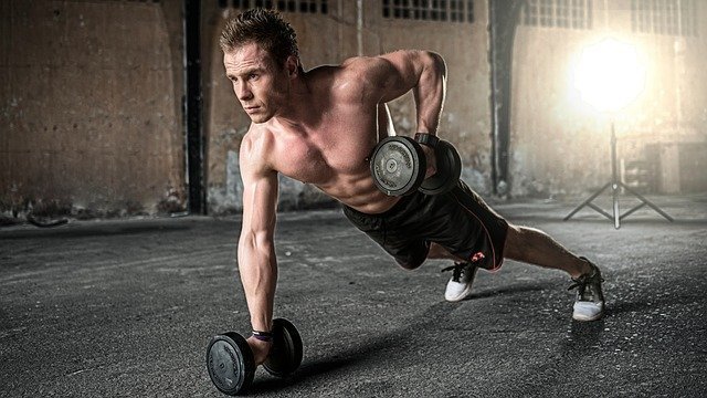 Animal Test Benefits - Muscle Size and Strength