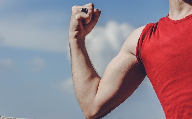 Mölk Benefits - Deliver Muscle Nutrition
