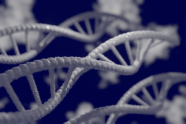 Gundry MD - Genes