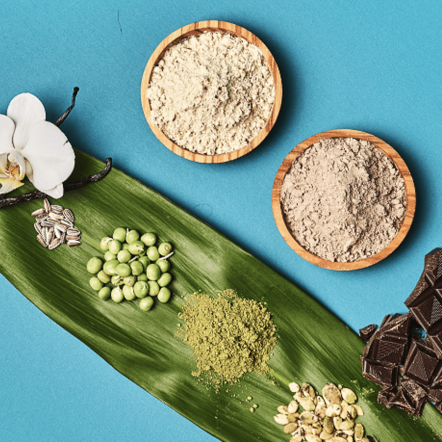 Plant-Based Protein - Ingredients