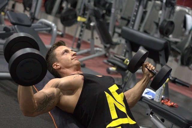 Plant-Based Protein - Muscle Building