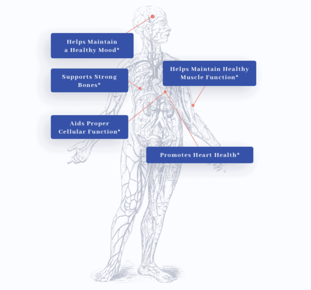 1MD MagMD Plus - Benefits