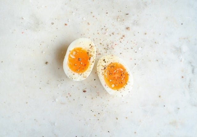 egg rich in protein
