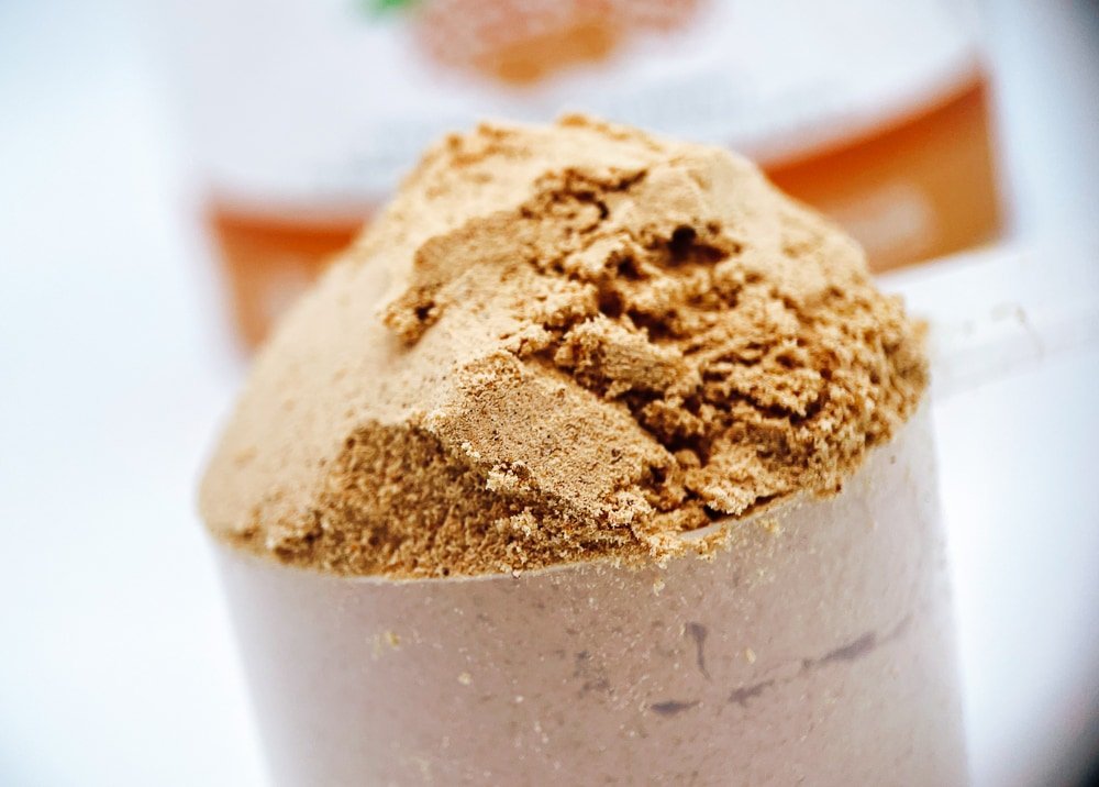 Four Sigmatic Superfood Protein Powder Scoop