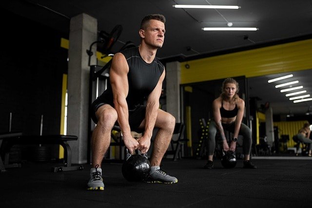 protein main building blocks for muscles