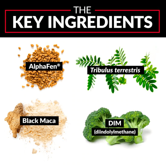 force factor alpha king key ingredients
