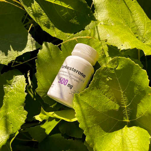 gorilla mind turkesterone from natural plant