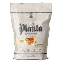 plant based protein