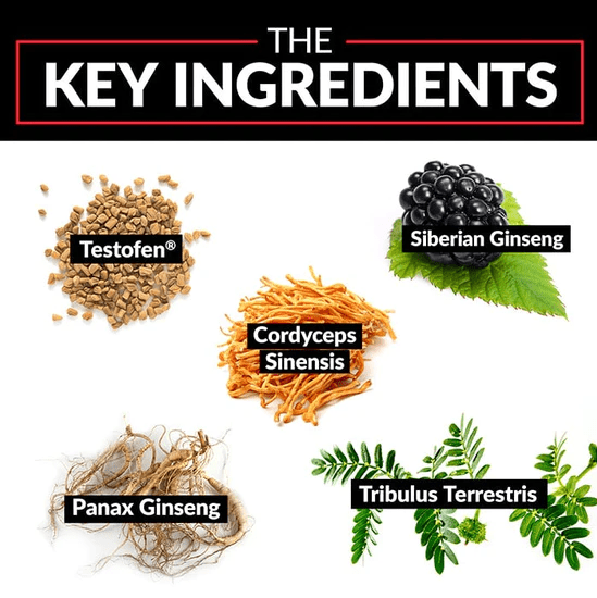 force factor test x180 key ingredients