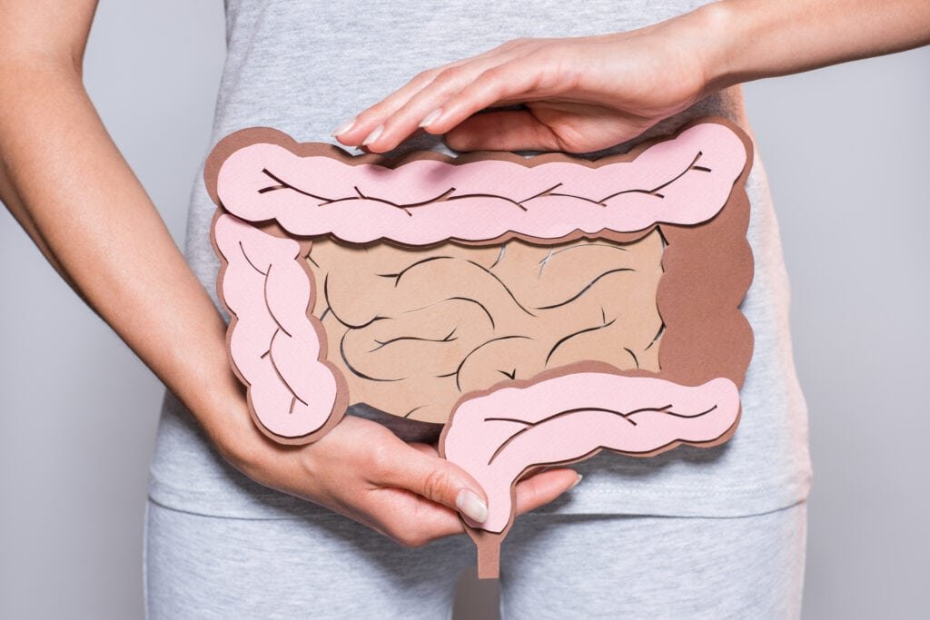 Gut Microbiome