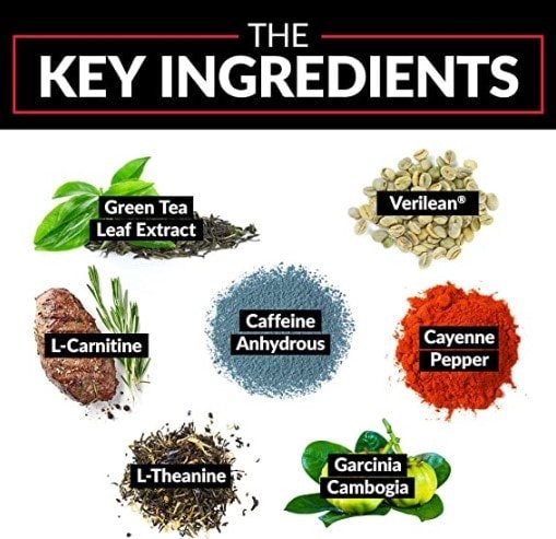 force factor leanfire key ingredients