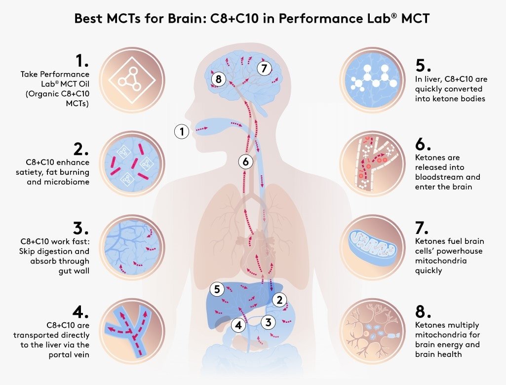 performance lab mct ingredients