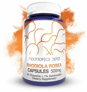 rhodiola rosea capsules by nootropics depot
