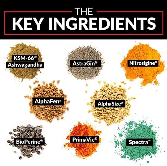alpha king immortal key ingredients