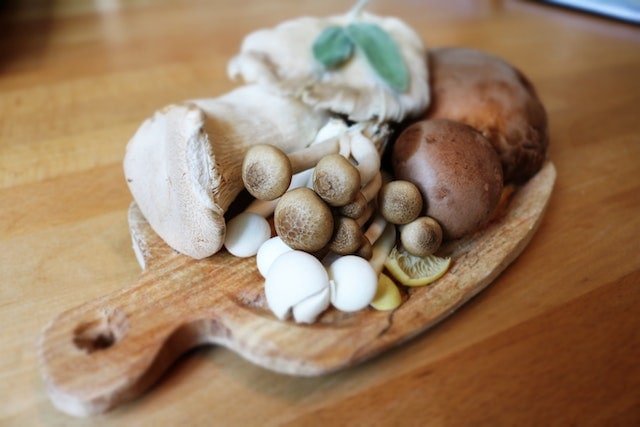 different types of mushrooms